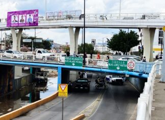 Un hombre se suicido, se arrojó desde el puente del «Amor», en León.