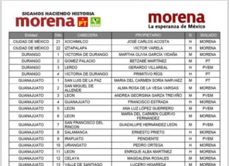 Pública MORENA candidatos a Diputados Federales;