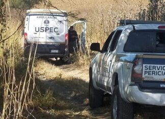 Localizan los cadáveres de 4 mujeres y 7 hombres en 10 fosas clandestinas en Tarímbaro, Mich.