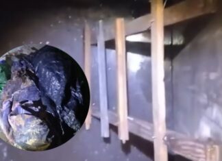 Localizan restos humanos de una persona desaparecida en León.