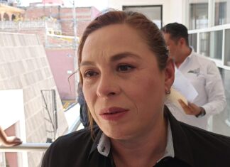 Falta más apoyo de la federación para atender la problemática en la Laguna de Yuriria»; López Bedolla