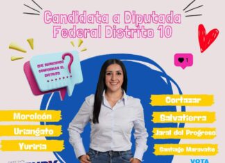 municipios conforman el Distrito Federal 10