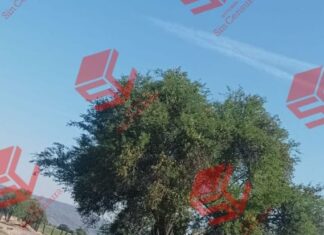 Localizan los cuerpos sin vida de dos personas del sexo masculino, al interior de un taxi en la carretera Valle- El Pitayo.