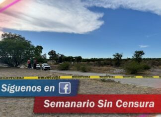 Localizan restos humanos de una persona reportada como desaparecida en León.