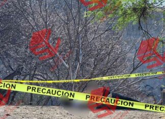 Un hombre fue ejecutado en las cercanías del Campo Rol, en Moroleón, #Guanajuato