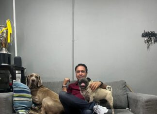 Creará la Primera Clínica Veterinaria Pública con Albergue para perros y gatos.