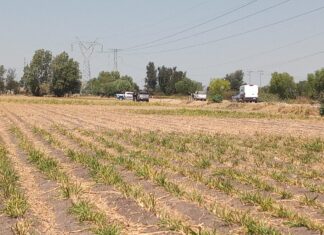 En las primeras horas de este domingo fue localizado el cuerpo sin vida de un hombre con visibles huellas de violencia en San Luis Rey, en Celaya.