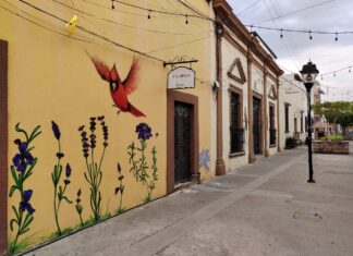 Se fortifica culturalmente proyecto de la Calle de los Pájaros en Salvatierra