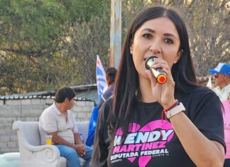 Wendy Martínez Torres la mejor opción para el distrito X federal.