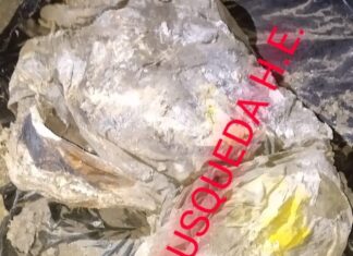 Colectivo de personas desaparecidas, «Hasta Encontrarte», confirmó la localización de tres personas en Irapuato.