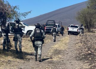 Localizan el cuerpo de una persona en avanzado Estado de descomposición en zona cerril de Tarimoro.