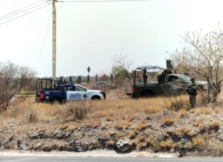 En hechos distintos dos mujeres y un hombre fueron asesinados en los Apaseos.