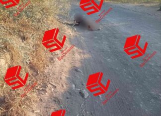 Localizan el cuerpo sin vida de una mujer, en la carretera de Valle de Santiago a la comunidad de la Gachupina.