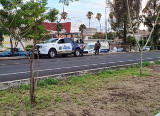 Ejecutan a abogado penalista en Celaya.