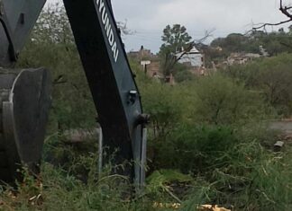 Con el pretexto de desazolvar el canal de Huahuemba en Uriangato, están talando árboles; sobre todo mezquites.