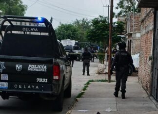 Localizacion el cuerpo calcinados de una persona en un lote baldío en Celaya.