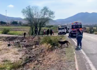 Localizan el cuerpo sin vida de un hombre en la carretera estatal La Ordeña- Juventino Rosas, la mañana de este viernes.