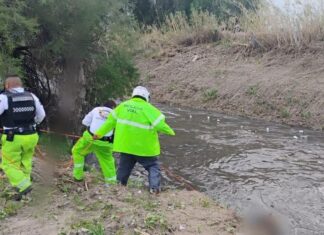 Cuerpos de emergencias y protección civil, rescataron el cuerpo sin vida de un hombre arrastrado por la corriente en Malecón del Río, en León.