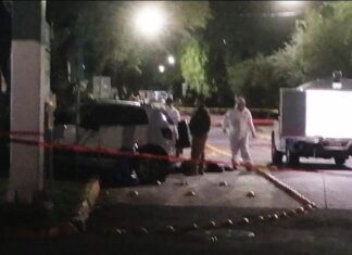 Tres muertos y dos heridos graves dejo un accidente de un auto que se impacto con un árbol en León.