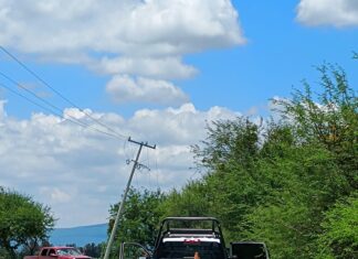 Motociclista fallece después de impactarse con un árbol en la comunidad de Gasca, en Celaya.