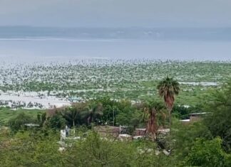 Las presas más grandes de Guanajuato están lejos de llegar a sus niveles óptimos.