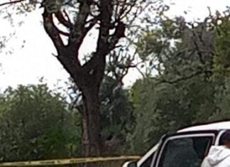 Localizan los cuerpos sin vida de dos personas en un camino vecinal entre las comunidades de El Colorado y Tierra Fría, en Cortázar