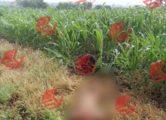 «Levantan» a una.persona del sexo masculino en la comunidad de Ozumbilla, en Yuriria; horas más tarde fue localizado sin vida.