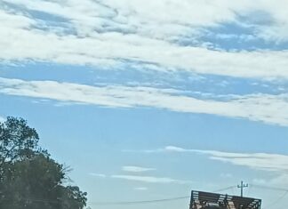 Aseguran camión de carga con reporte de robo después de una intensa persecución en la carretera Celaya – Juventino Rosas.