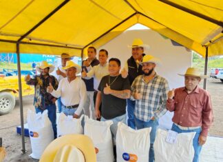 Se apoya a productores ganaderos con alimento para sus animales en Salvatierra.