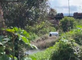 Una pareja resultó lesionados después de que la camioneta en la que viajaban fue impactada por el tren en la comunidad de La Moncada en Tarimoro.