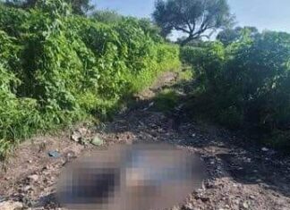 Localizan el cuerpo sin vida de un hombre sobre la carretera a #SanAgustíndelPulque