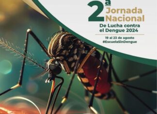 ”Lava, Tapa, Voltea y Tira”, continúa siendo la mejor estrategia de combate al vector.