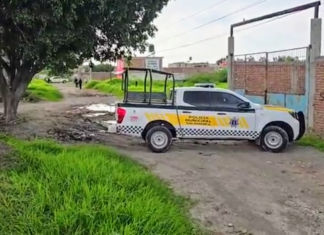 Un hombre fue asesinado a balazos en la comunidad de La Luz en Salamanca, la tarde de este domingo.