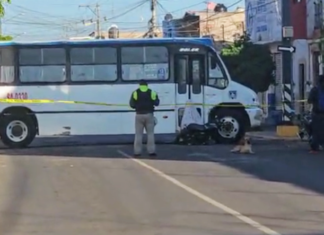 Motociclista murió arrollado un camión de transporte público en la zona centro en Salamanca.
