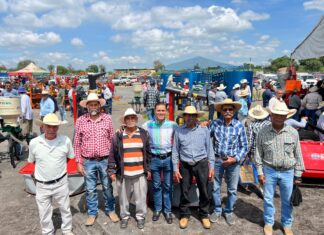 Se beneficia a 941 productores del campo de Salvatierra con programas rurales