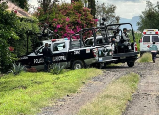 Un hombre fue asesinado a balazos en un camino entre las colonias Flores Mago. Y Provima en Salvatierra.