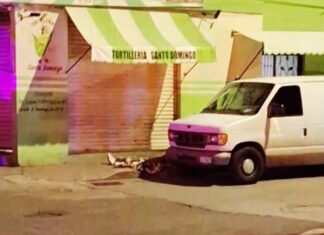 Asesinan a un hombre al interior de una tortillería en la colonia Las Heras, en Irapuato.