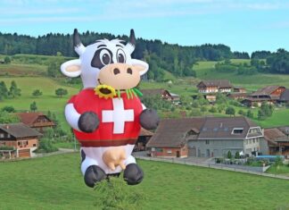 MÁS DE 30 FIGURAS ESPECIALES LLEGARÁN AL FESTIVAL DEL GLOBO 2024.