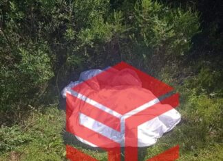 Era dueño de la huerta y 3 hermanos, los asesinados en Charapan