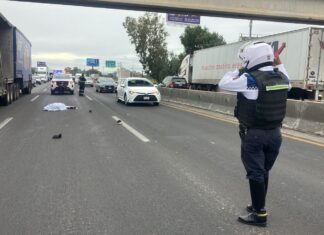 Un hombre murió atropellado al intentar cruzar la carretera León – Silao, esta tarde.