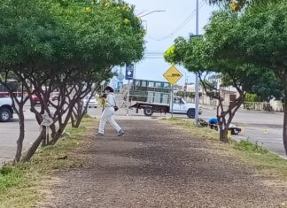 Hombres armados asesinaron a un motociclista en la colonia Valle de los Naranjos en Celaya.