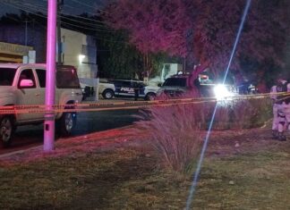 Fueron tres ex policías asesinados y una mujer herida en el bar «Michelts», en Celaya