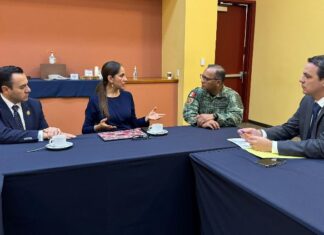 Nuestra prioridad es la pacificación de #Guanajuato; Libia Dennis.