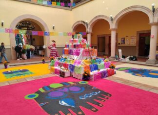Funcionarios Públicos de Salvatierra Elaboran Altar de Muertos en Honor a sus Seres Queridos