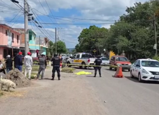 Dos personas fueron atropelladas en la comunidad de Cárdenas; una murió en el lugar de los hechos, la otra fue trasladada para su atención médica, en Salamanca.