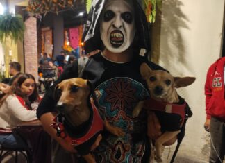 Festival de las Almas: Concurso de Disfraces de Mascotas en Salvatierra Promueve Apoyo a Animales en Situación de Abandono