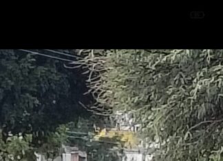 Asesinan a comerciante en la comunidad de La Cruz, en Celaya; hay un herido también.