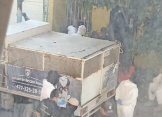 Fiscalía del Estado investiga una finca donde se localizaron restos humanos el pasado jueves en la colonia Paseos del Molino, en León.