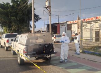 Un hombre fue asesinado a balazos frente a un taller mecánico en la colonia Santa María de los Cementos, en León.