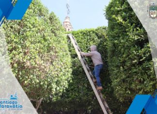 Autoridades de Santiago Maravatío reconocen la ardua labor del personal de 𝐒𝐞𝐫𝐯𝐢𝐜𝐢𝐨𝐬 𝐏𝐮́𝐛𝐥𝐢𝐜𝐨𝐬 𝐌𝐮𝐧𝐢𝐜𝐢𝐩𝐚𝐥𝐞𝐬.